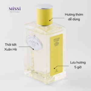 Prada-Infusion-De-d-Ylang-EDP-04