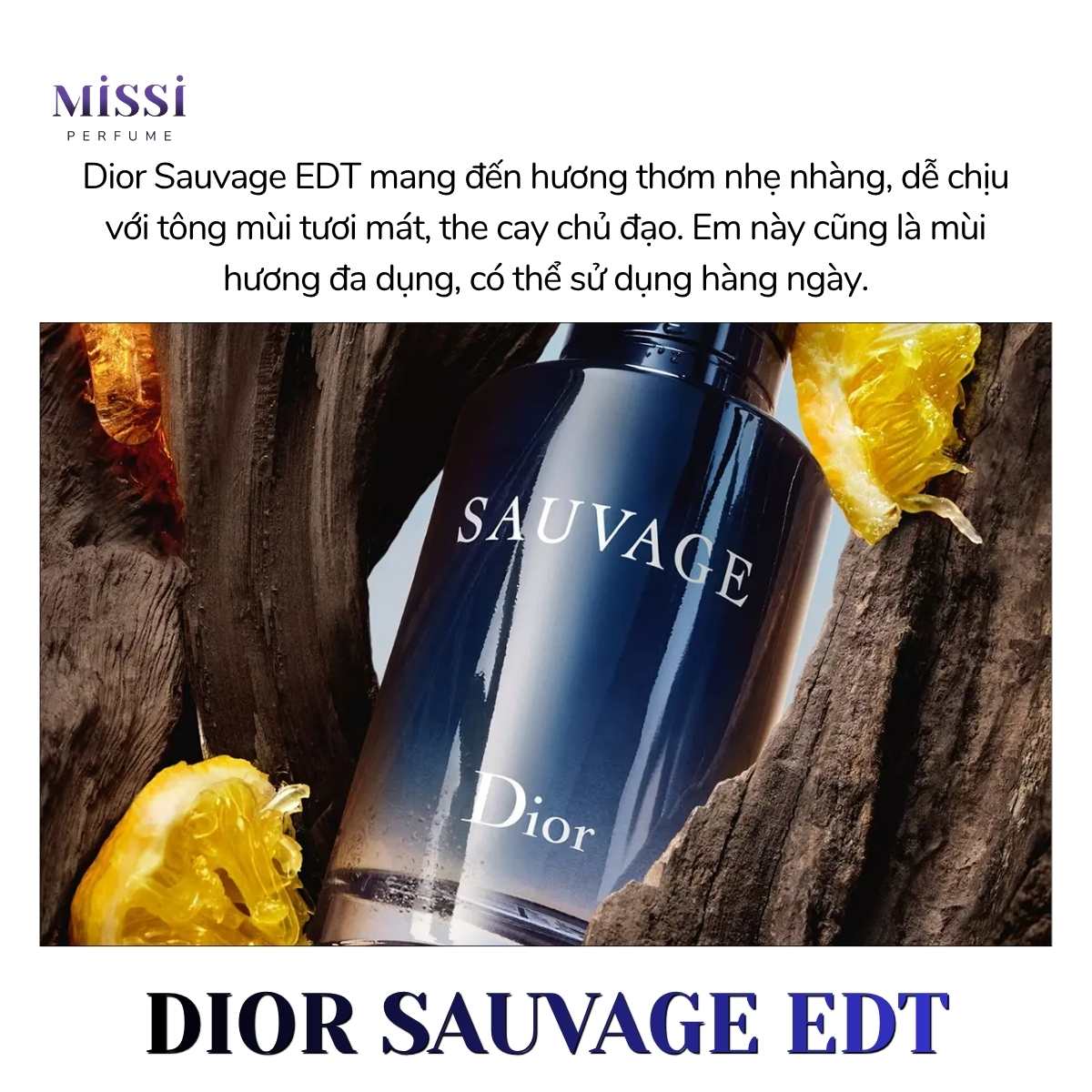 Dior-Sauvage-2
