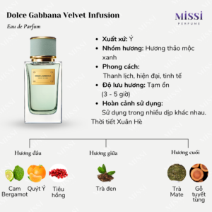 Dolce-Gabbana-Infusion-EDP-02