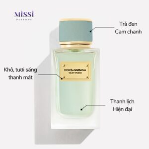 Dolce-Gabbana-Infusion-EDP-03