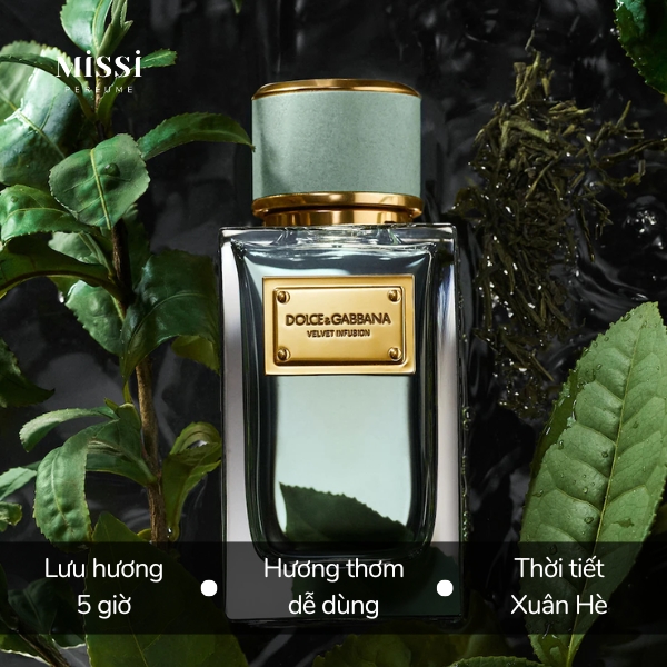 Dolce-Gabbana-Infusion-EDP-04