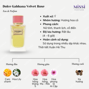 Dolce-Gabbana-Velvet-Rose-EDP-02