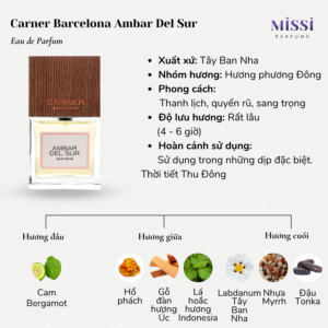 Carner-Barcelona-Ambar-Del-Sur-02