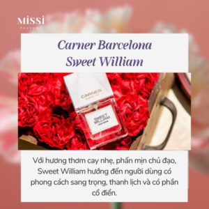 Carner-Barcelona-Sweet-William-03