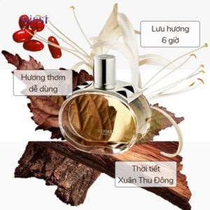 Hermes-Barenia-EDP-04