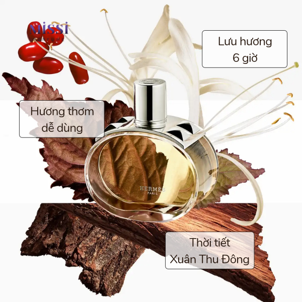 Hermes-Barenia-EDP-04